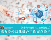 探索有效途徑，打造新型能力——棟方股份兩化融合工作亮點(diǎn)紛呈